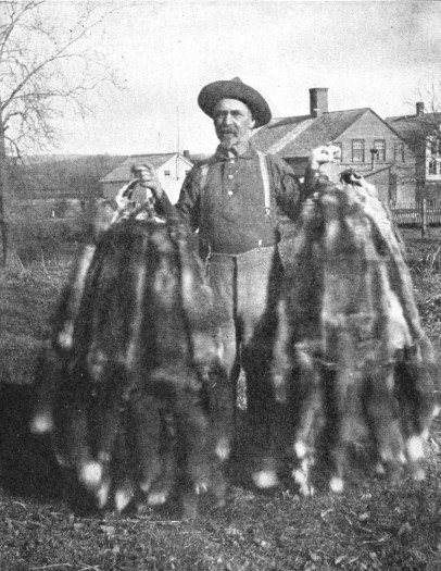 Adirondack_Trapper_holding_fox_pelts_(cut)
